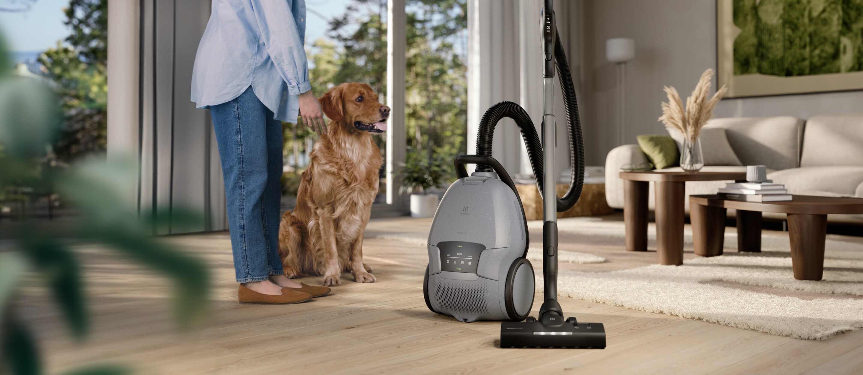 Electrolux vacuum cleaner in a living room with a woman and dog.