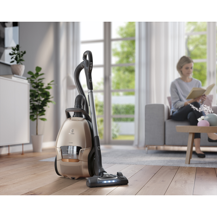 Electrolux - Usisivači sa vrećicom - PD91-8SSM