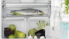 Snimak iz blizine frižidera Electrolux FreshPlus sa hranom naslaganom na svakoj polici