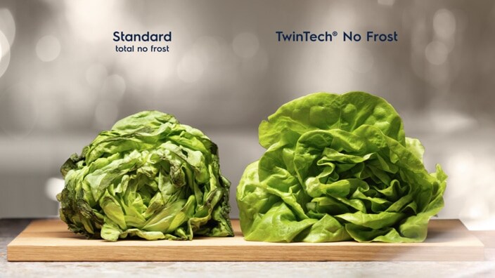 Fresh lettuce
