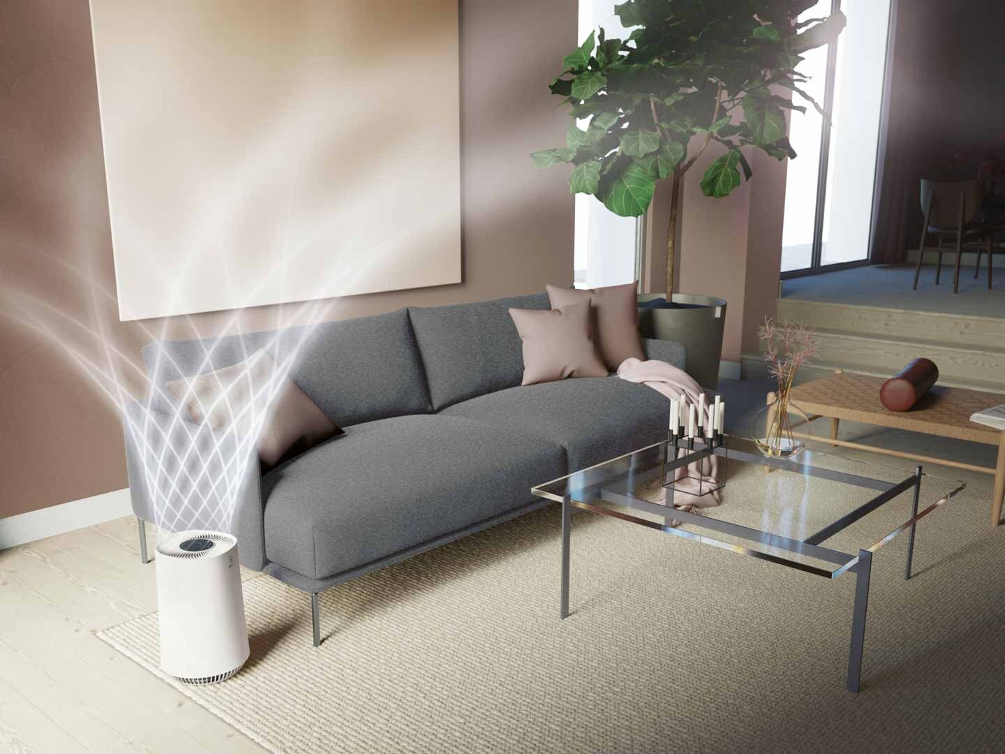 Aircare in modern livingroom