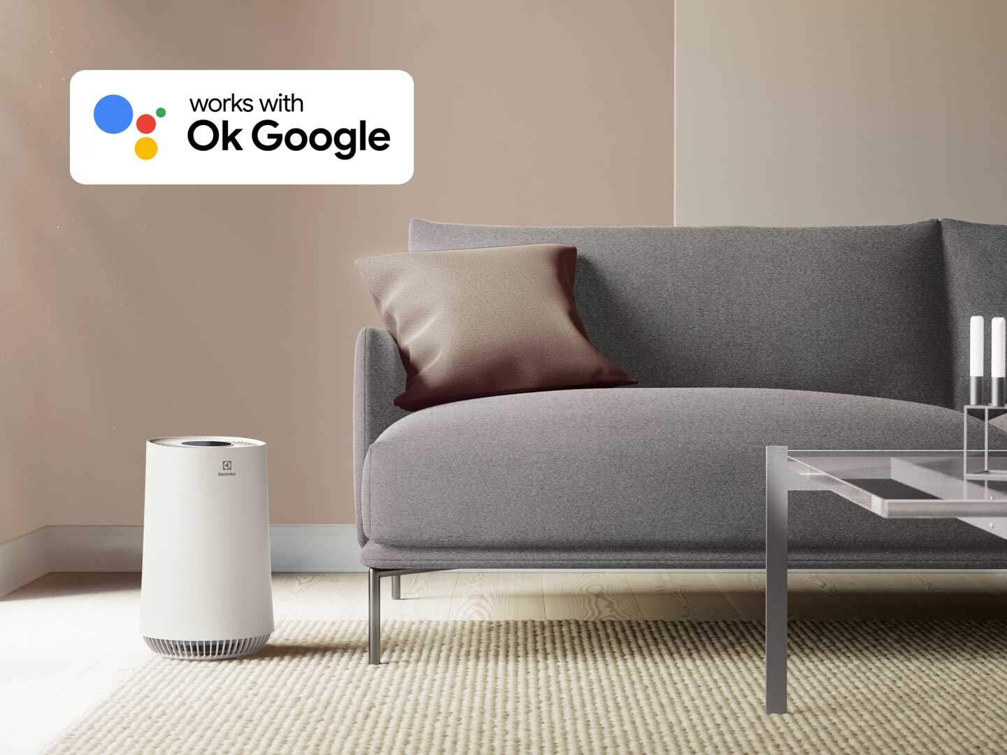 FloorCare besides sofa, OK google logo